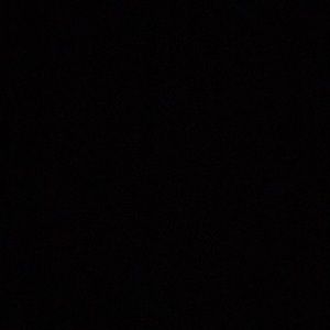 Meet your Posher, Pearl